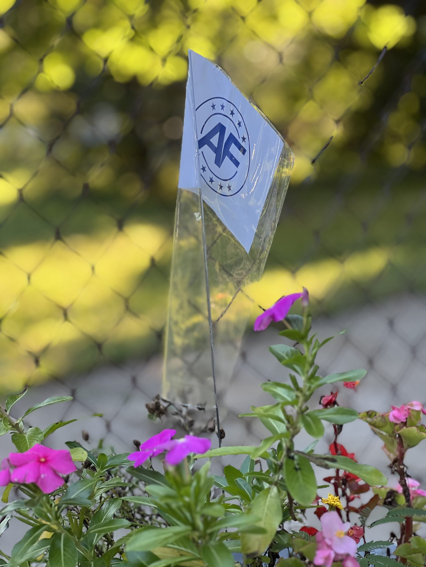 Close-up of sleeved AF flag among flowers